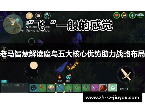 老马智慧解读魔鸟五大核心优势助力战略布局