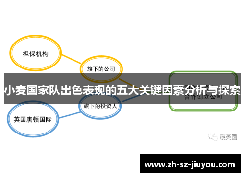 小麦国家队出色表现的五大关键因素分析与探索