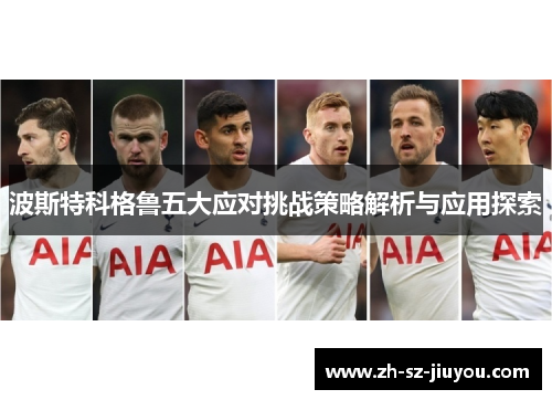 波斯特科格鲁五大应对挑战策略解析与应用探索