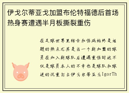 伊戈尔蒂亚戈加盟布伦特福德后首场热身赛遭遇半月板撕裂重伤 伊戈尔蒂亚戈加盟布伦特福德后首场热身赛遭遇半月板撕裂重伤